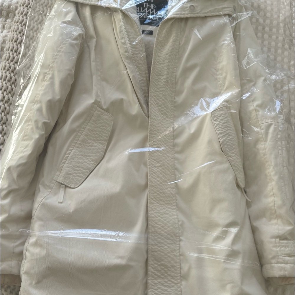 Aritzia TNA Winter Coat - Summit Parka - Picture 2 of 9